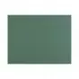 Пластик 0773 Fenix NTM Bloom Verde Brac 3050*1300*0.7мм